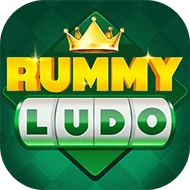 Rummy 51 Bonas