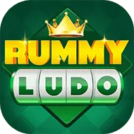 Rummy 51 Bons